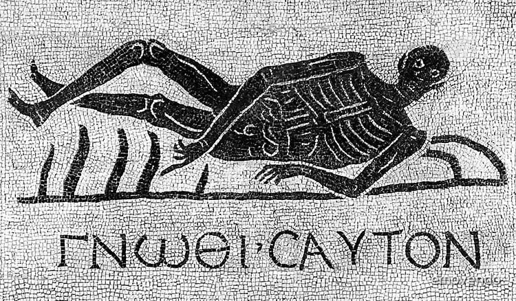 bg,f8f8f8-flat,750x,075,f-pad,750x1000,f8f8f8-1